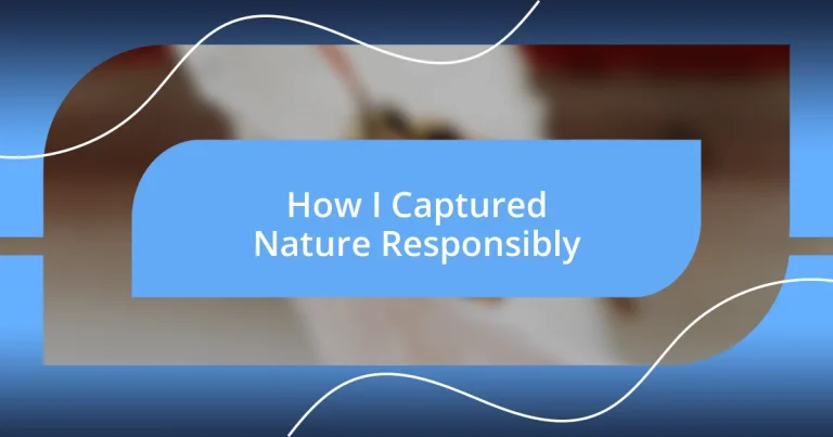 How I Captured Nature Responsibly