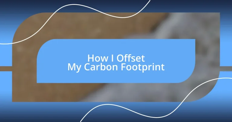 How I Offset My Carbon Footprint