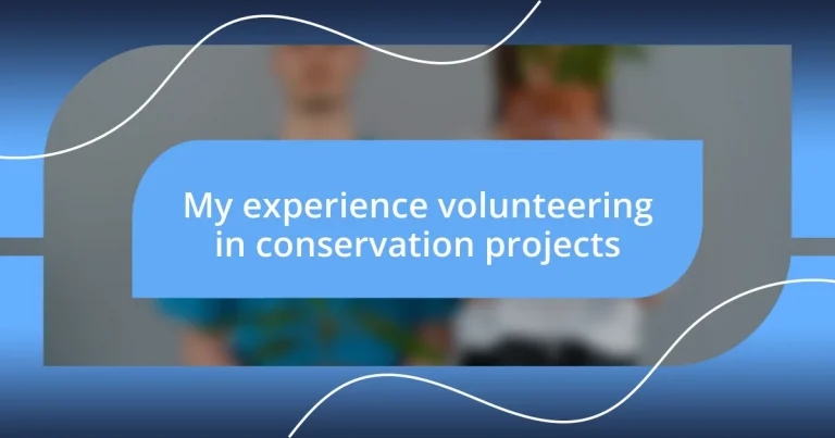 My experience volunteering in conservation projects