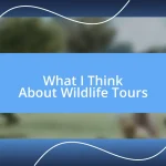 What I Think About Wildlife Tours