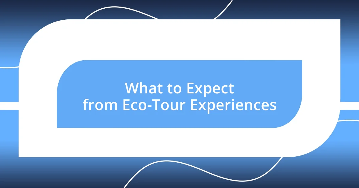 What to Expect from Eco-Tour Experiences